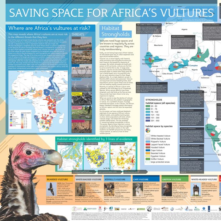 African Vulture Hostspot Mapping